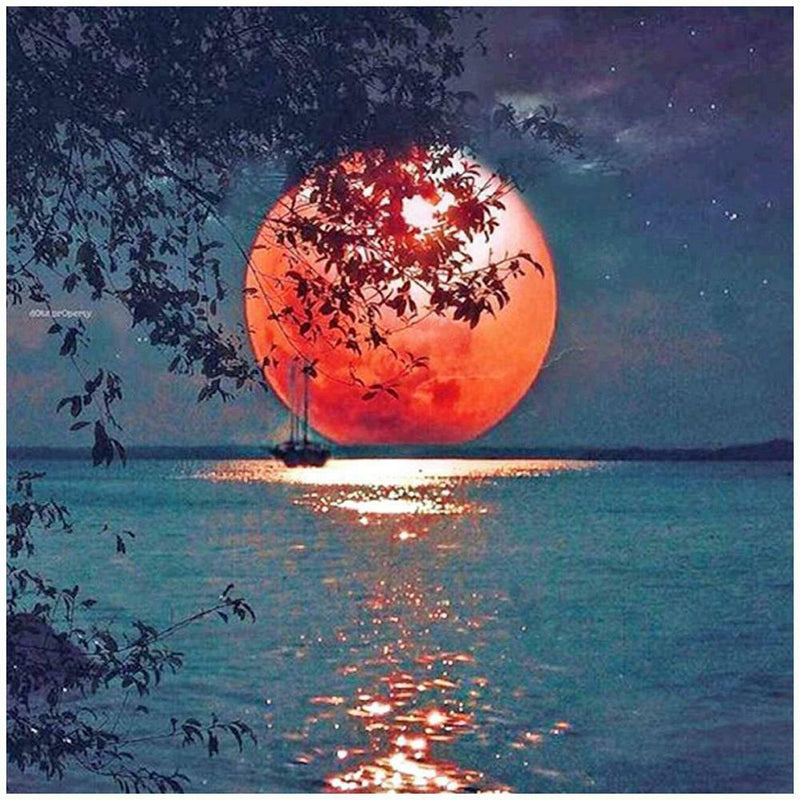 5D DIY Full Drill Diamond Painting Moon Embroidery Mosaic Craft Kit (z1564)