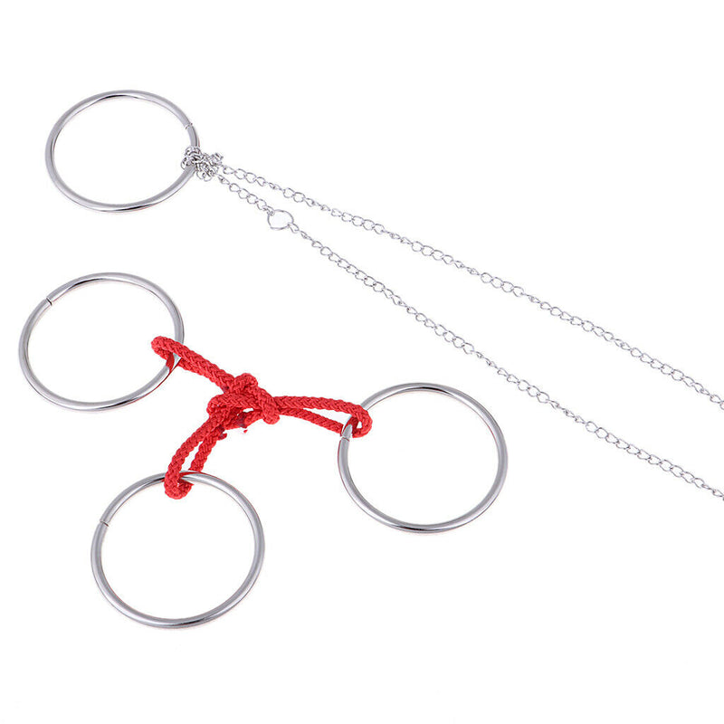 30x Metal Puzzles Chinese Puzzle Game IQ Mind Brain Teaser For Friends Gifts