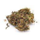 10g Dried Artificial Reindeer Moss Plant For Flower Hanging Basket Home Decor BX