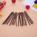 15pcs Natural Fruit Matatabi Cat Snacks Sticks Catnip Pet Cat Molar Rod