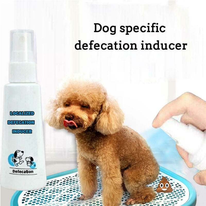 Dog Potty Training Aid Puppy Cat Pet Toilet Training Spray Practical