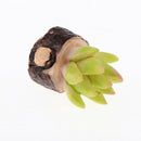10 Pieces 1/12 Scale Decorative Artificial Succulent Cactus Plants with Wood