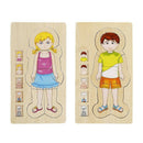Multi-Layer Wooden Human Puzzles Human Body Structure Toys Intellectual Woo