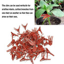 50x Gardening Grafting Clips For Home Garden Vegetable Bushes Vine Flower Q6R4