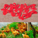 10pc Pinless Pheasant Cock Chicken Peeper Poultry Blinders Spectacle Eye Glasses