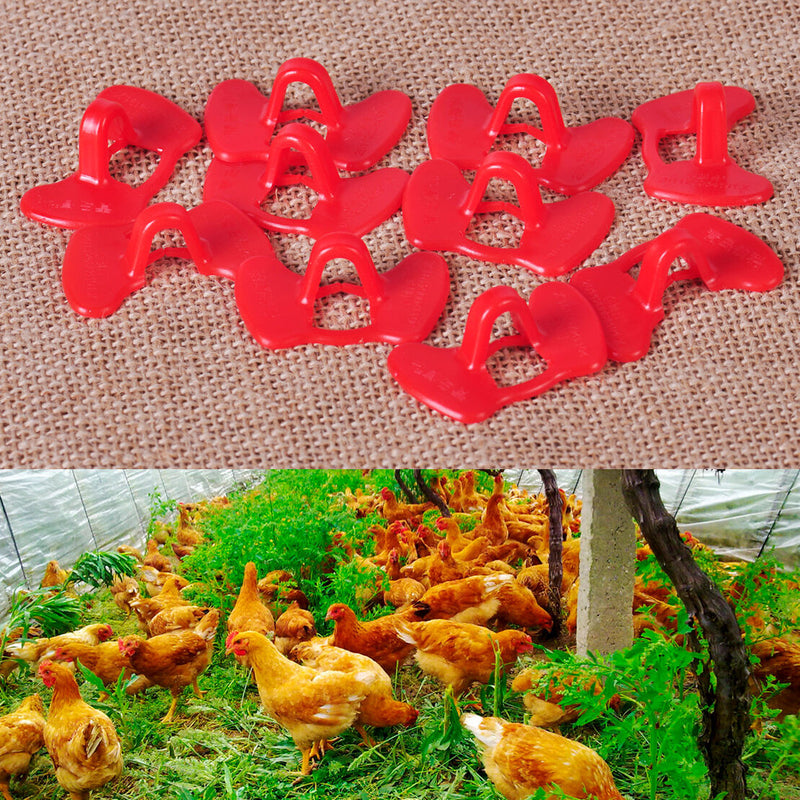 10pc Pinless Pheasant Cock Chicken Peeper Poultry Blinders Spectacle Eye Glasses