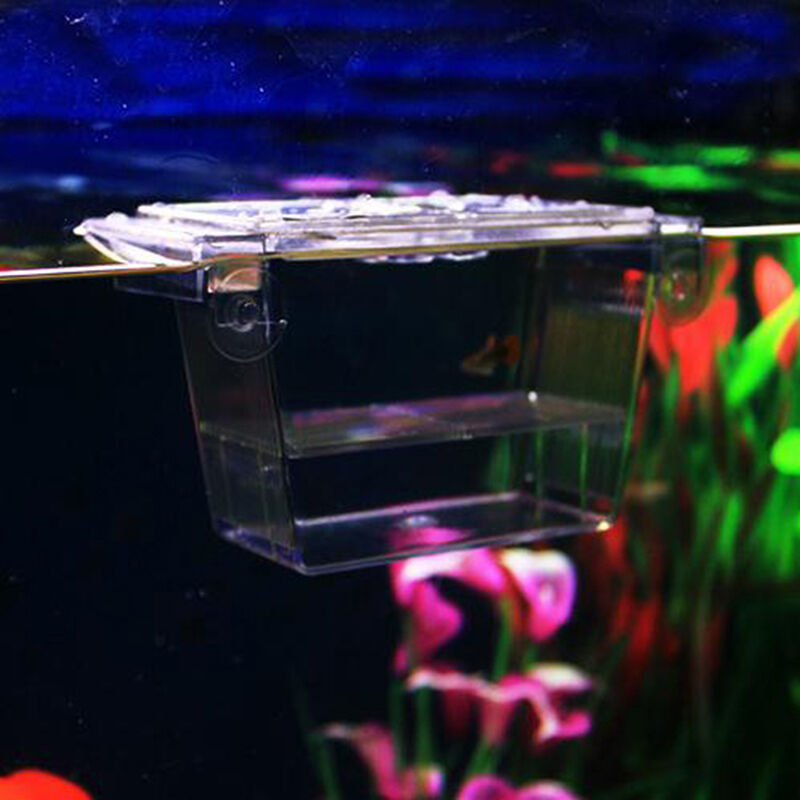 Aquarium Fish Tank Guppy Breeding Breeder Rearing Trap Box Hatchery N1K8