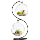 2 Cover Vase Landscape Display Terrarium Container S-Shaped Stand Desk Decor
