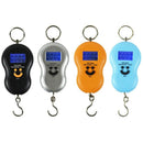 50Kg /10G Mini Digital Hanging Scale for Fishing Luggage Travel Weighting S