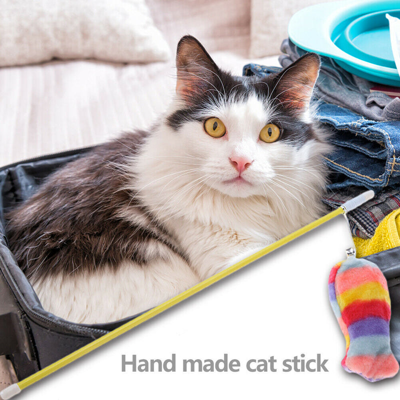 Cat Teasing Stick Plush Fish Wand Squeaky Pet Teaser Rod Interactive Toys A