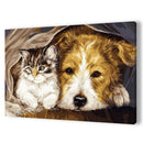 DIY Digital Oil Painting By Numbers Staying Dog Cat Acrylic Animal Picture A