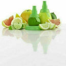 Fruit Juice Sprayer Manual Juicer Commodity Home Furnishing Kitchen w Gadge K2E5