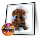 5D DIY Full Drill Diamond Painting Logy Dog Cross Stitch Embroidery Craft
