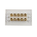 Audio 5 Speaker 10 Binding Post Banana Jack Wall Face Plate Panel 115x70mm