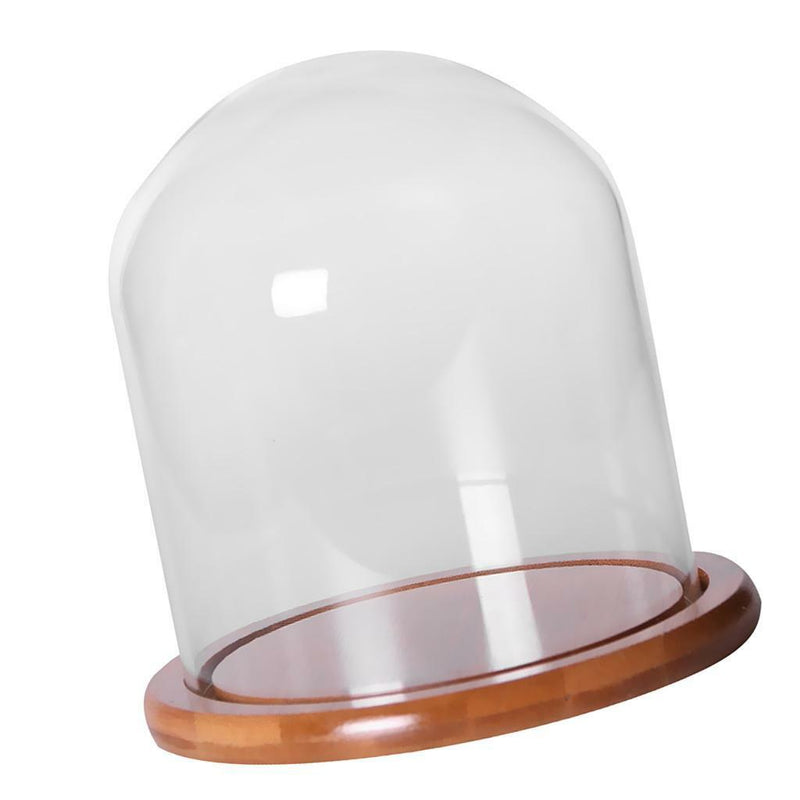Glass Display Bell Jar Dome Cloche With Bamboo Base Decorative Desk Stand S