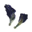 20g Pure Natural Dried Butterfly Pea Tea Blue Flowers Clitoria Ternatea M&O
