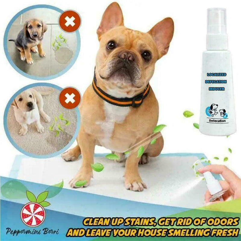 Dog Potty Training Aid Puppy Cat Pet Toilet Training Spray Practical N1B9