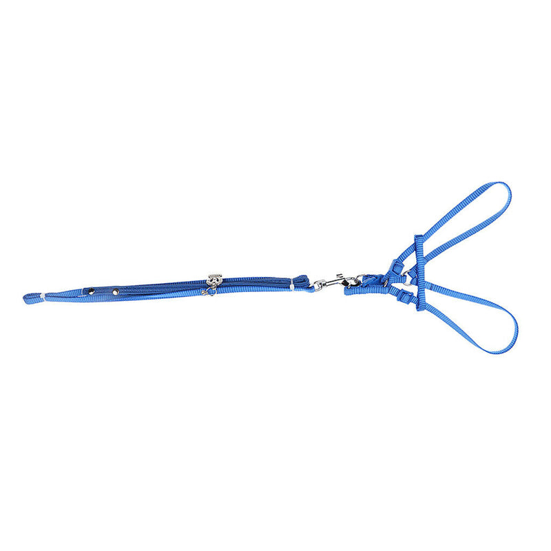 Adjustable Reptile Lizard Bird Ferret Harness Leash Lead Rope Light Soft L