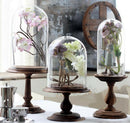 Glass Display Cloche Bell Jar Dome Flower Preservation Vase With Base 15cm