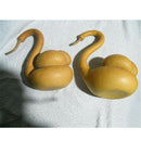Novelty Speckled Swan Gourd Lagenaria Siceraria Seeds 5Seeds 85% Germination SP