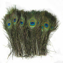 50pcs lots Real Natural Peacock Tail Eyes Feathers 8-12 Inches  JÃ‘Æ’
