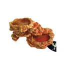 Reptile Vivarium Terrarium Feeding Bowl lizard Gecko Water Worm Feeder