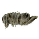 50pcs Mallard Wild Duck Natural Feather for DIY Jewelry Decor Crafts 8-12cm