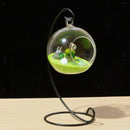Test Tube Flower Vase With Metal Stand For Hydroponic Plant