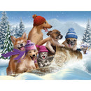 5D DIY Full Drill Diamond Painting Cross Stitch Mosaic Craft Kits (Pets03)