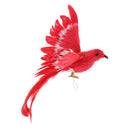 Artificial Red Bird w/ Long Tail Realistic Taxidermy Home Garden Decor 28cm