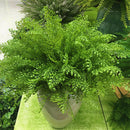 Artificial Fern Leaf Simulation Plastic Plant Flower Home Wedding Decor 45cm