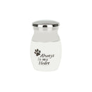 Stainless Steel Jar Casket Always in my Heart with Dog Paw Ash Urn Memorial