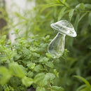 Snail +Mushroom Plant Flowers Water Feeders Self Watering Cute Plant Waterer