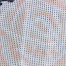 5D DIY Diamond Painting Flowers Embroidery Cross Crafts Stitch Kit Home Dec