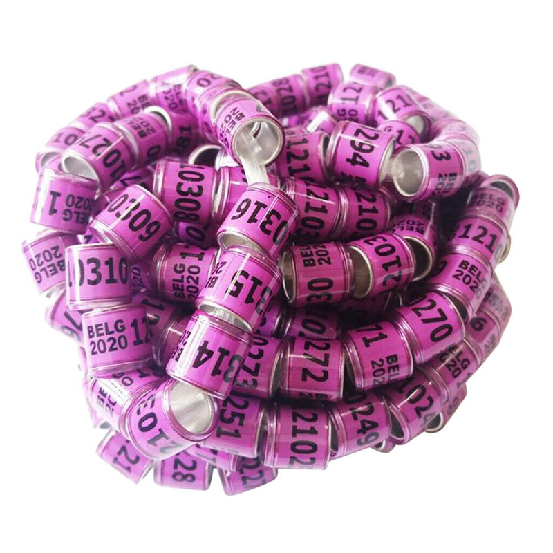 Set of 100 Racing Pigeon Leg Ring 8mm Leg Band Multi-color Purple Belgium