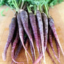 500pcs x pare purple carrot seeds organic vegetable fruit plant garden seeds SP