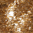 Carp Fishing Baits High Protein Worms Lures Dry Maggots for  /Bird/Pets