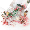 1Box Real Dried Leaf Flowers Plant Herbarium Jewelry Craft Home Decor newly