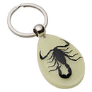 Glow-In-The-Dark Real Insect Keychain (Black Scorpion)