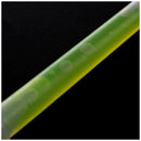 Glow Sticks Party Camping Emergency Surival Lights GlowStick Green L8N2