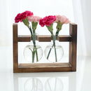 Hanging Glass Vase Landscape Terrarium With Wooden Stand Decor 2 Bottle