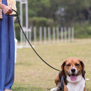 52inch Strong Nylon Rope Pet Dog Slip Training Leash Walking Lead Collar (B