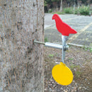 screwed type stainless steel pigeon target shooting purpose for shooting JR