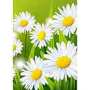 Vibrant Flower Diamond Painting DIY Full Round Drill 5D Needlework (B2415) A