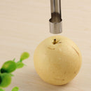 Portable Smaier Corer Stainless Steel Kitchen .Tools, New, Free Shi Dlqq