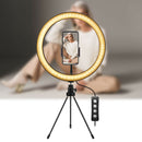 10.2 inch LED Selfie Ring Light Desktop Photo Video Ring Lamp for Phone