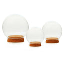 2xDia 12cm Glass Display Cloche Jar Dome Wooden Base Centerpiece