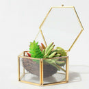 Geometric Terracotta Hexagon Glass Terracotta Succulent Planter Favors