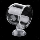 Set of 2, Aquarium Fish Tank Feeding Glass Cup Aquatic Plant Crystal Holder