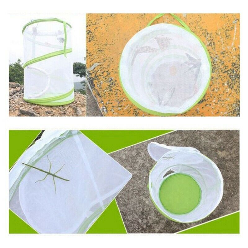 Large Butterfly Cage Insects And Habitat Cage Pvc Pet Mosquito Net Plant Cu